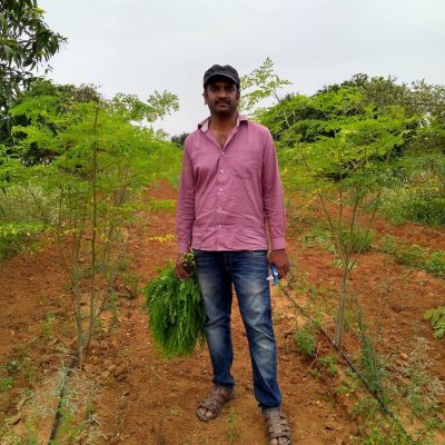 IMG_20171126_124623768_HDR-rotated-scaled