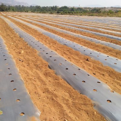 IMG_20180111_121151650-scaled