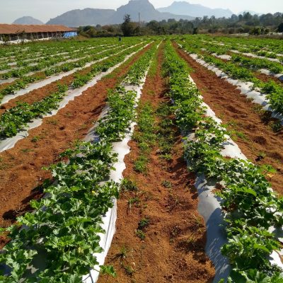 IMG_20180216_090201097_HDR-scaled