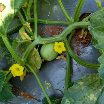 IMG_20180224_101611422_HDR-rotated-scaled