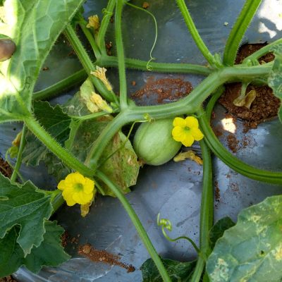 IMG_20180224_101615689_HDR-rotated-scaled