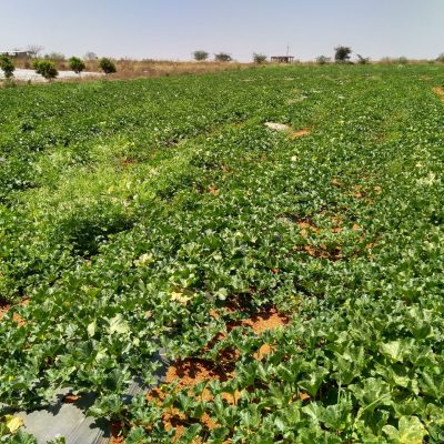 IMG_20180307_115525308_HDR-scaled