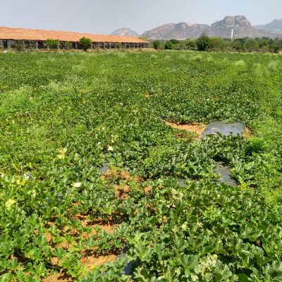 IMG_20180318_122245323_HDR-scaled