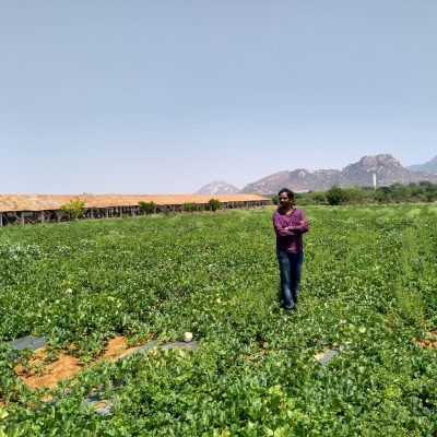 IMG_20180318_123217005_HDR-scaled