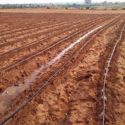 IMG_20180926_073115911_HDR-scaled