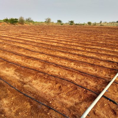 IMG_20180926_073426568_HDR-scaled