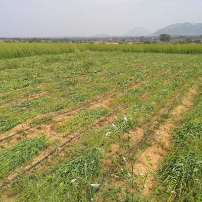 IMG_20181210_114713846-scaled